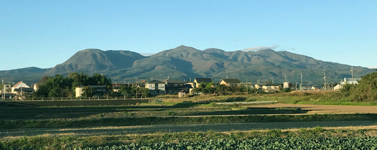 地中海本舗について MACHIDA 地中海本舗